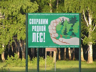 Межведомственная акция «Чистый лес – территория без огня» пройдет в регионе