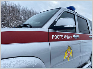 В Горно-Алтайске сотрудники Росгвардии оказали помощь водителю, автомобиль которого оказался в снежном плену