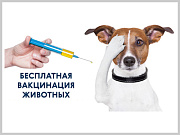 В Горно-Алтайске продолжается бесплатная вакцинация собак и кошек против бешенства