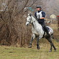 Четыре турнира по конному спорту прошли в столице региона