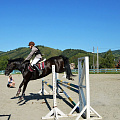 Соревнования по конному спорту прошли в честь Дня города