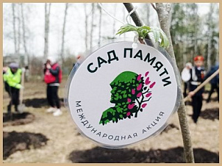 Жителей Горно-Алтайска приглашают присоединиться к акции «Сад памяти»