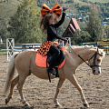 Состоялся финал Осеннего кубка Мэра города Горно-Алтайска по выездке на лошадях и пони 