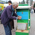 «Золотая пчелка» в Горно-Алтайске