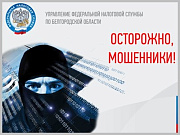 Управление федеральной налоговой службы России по Республике Алтай предупреждает о мошеннических рассылках в интернете