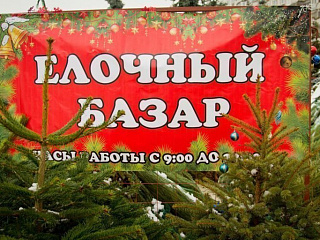 Ёлочные базары открылись в Горно-Алтайске
