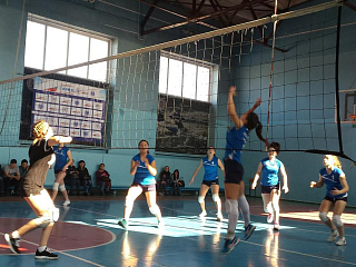 Соревнования по волейболу в зачет спартакиады учебных заведений прошли в ГАГУ