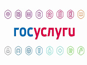 Республика Алтай вошла в топ регионов Сибири по количеству пользователей портала Госуслуг