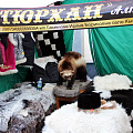 В Горно-Алтайске прошел первый гастрономический фестиваль