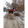 В Горно-Алтайске продолжается уборка поваленных снегопадом деревьев