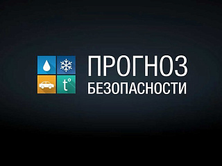ГИБДД Горно-Алтайска присоединилось к акции «Прогноз безопасности»