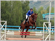 Традиционные соревнования по конному спорту на приз кубка мэра состоялись в честь Дня города