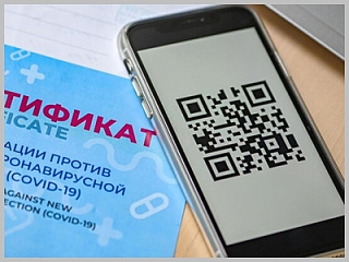 В Горно-Алтайске могут ввести QR-коды для посещения общественных мест