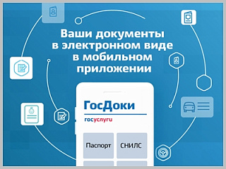 Личные документы можно будет хранить в мобильном приложении «ГосДоки»