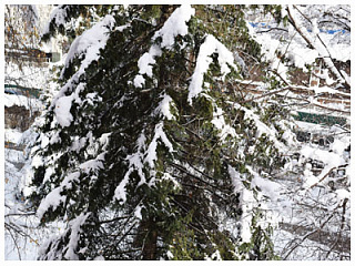 МЧС предупреждает о возможном сходе снега с крыш зданий