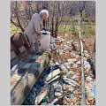 Марафон чистоты и благоустройства продолжается в Горно-Алтайске: присоединяйтесь! 