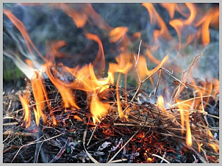 Администрация города Горно-Алтайска напоминает об особом противопожарном режиме