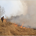 В воскресенье 17 апреля на границе Горно-Алтайска и Маймы в районе «Страшного лога» произошло возгорание сухой травы, которое привело к крупному пожару