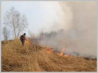 В воскресенье 17 апреля на границе Горно-Алтайска и Маймы в районе «Страшного лога» произошло возгорание сухой травы, которое привело к крупному пожару