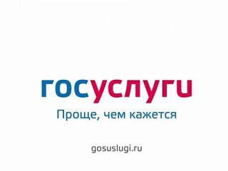 Республика Алтай заняла первое место среди субъектов СФО по доли пользования гражданами электронными услугами 