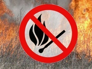 В Республике Алтай введен особый противопожарный режим