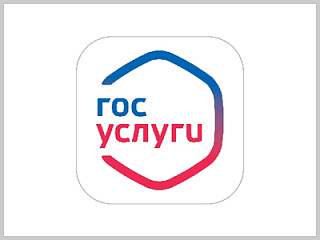 В Республике Алтай 57 массовых социально-значимых услуг переведены в электронный вид