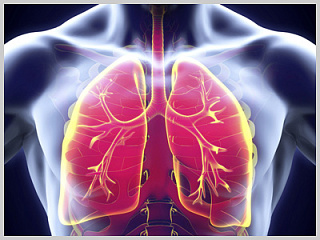 Внебольничная пневмония: количество случаев растет