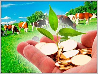 Объявлены конкурсы для сельхозтоваропроизводителей  на предоставление субсидий