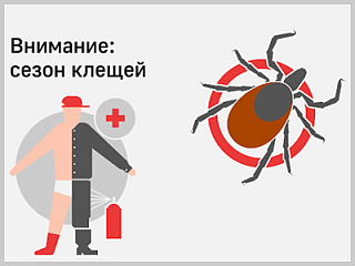 Жителей Горно-Алтайска предупреждают о высокой активности клещей