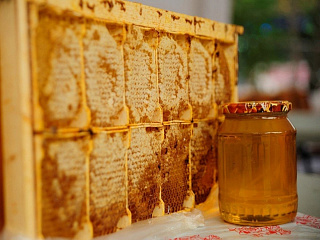 Начался прием заявок для участия в IV Фестивале мёда «Золотая пчелка Горного Алтая»