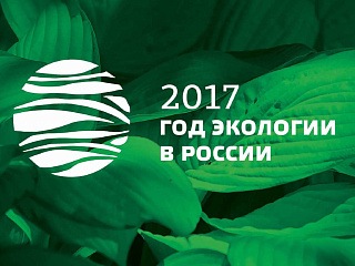 2017 год в России объявлен Годом экологии 
