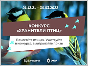 Ecowiki приглашает горожан спасти зимующих птиц от голода