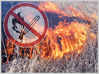 Жителей Горно-Алтайска призывают соблюдать правила пожарной безопасности