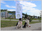 Жители Горно-Алтайска могут бесплатно стерилизовать  и чипировать собак
