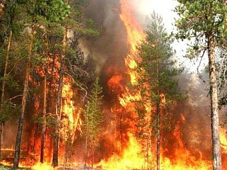 В Горно-Алтайске наступил пожароопасный период