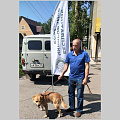 Более 70 собак чипировано в Горно-Алтайске