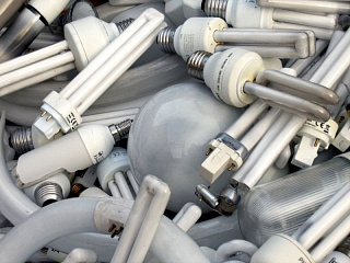 В ходе экологической акции собрано более 1000 опасных ламп и 12 кг батареек