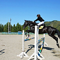 Соревнования по конному спорту прошли в честь Дня города